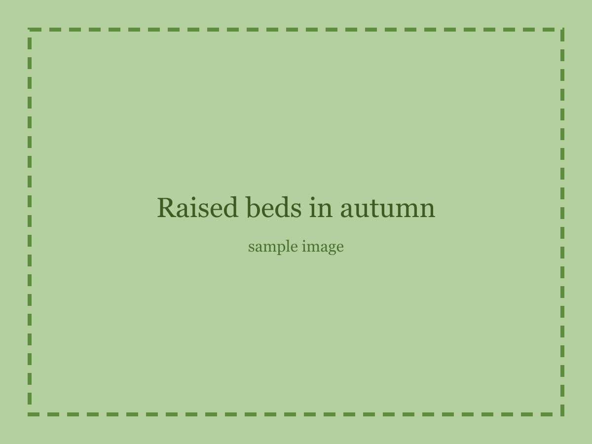 Sample placeholder image: Raised beds in autumn.